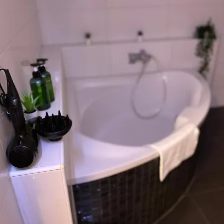 Deluxe Business Suite Mit Netflix Premium & Parkplatz, Zentral Zu Audi & Schwarz Gruppe With 2 Bedrooms Bad Friedrichshall Buitenkant foto